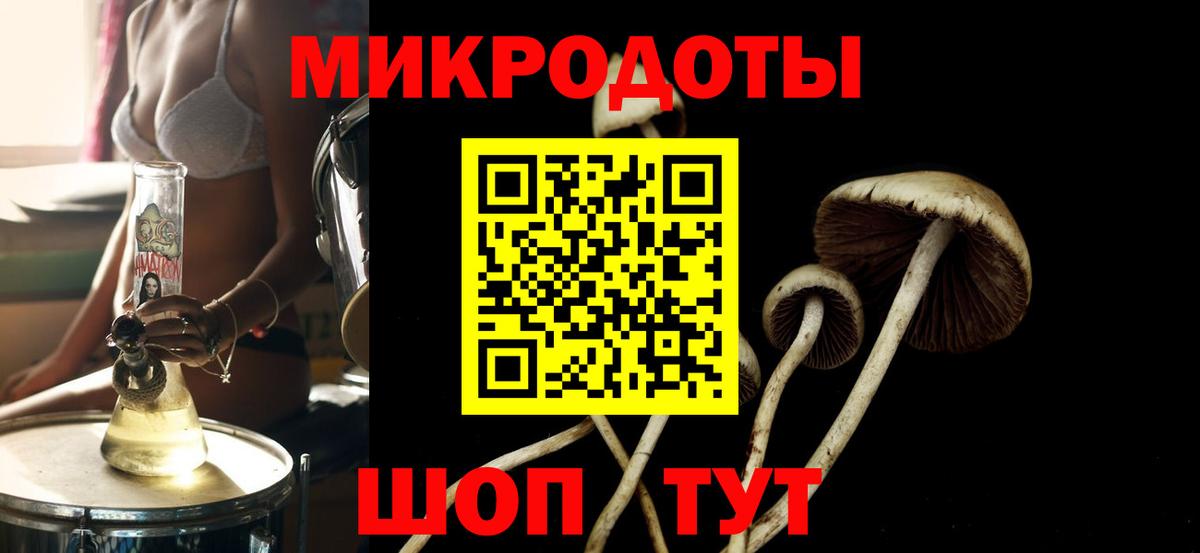 Псилоцибиновые грибы Psilocybine cubensis  где продают наркотики  Вход с VPN  Геленджик  Галлюциногенные грибы мухоморы 